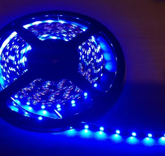 12v Blue L.E.D. Lights